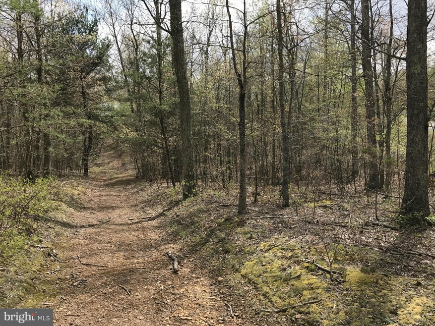 0 Roys Ln unit 1000194671, Glengary, WV 25421 - photo 1