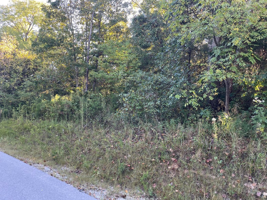 Tract 2 Cumberland Ridge Dr, Somerset, KY 42501 - photo 1