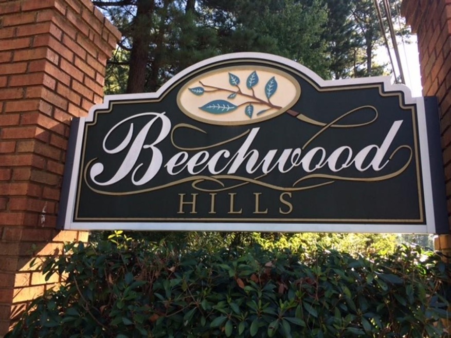 2560 Alpine Way, Duluth, GA 30096 - photo 1