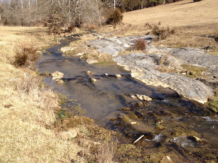 Sheep Creek - View 1