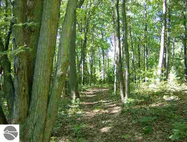 00 E 8th St, Au Gres, MI 48703 - photo 1