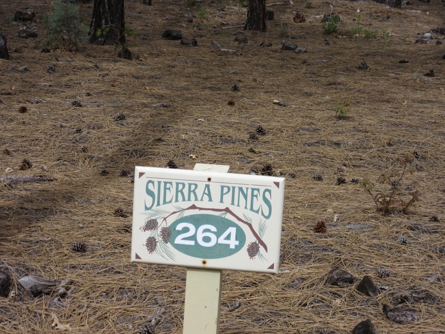 1701 S Bristle Cone Dr, Show Low, AZ 85901 - photo 1