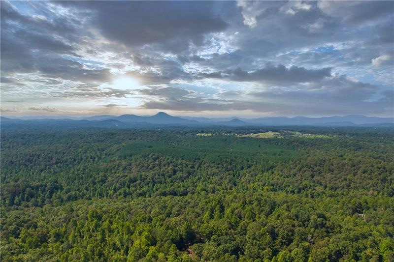 431 Twilight Hills, Demorest, GA 30535 - photo 1