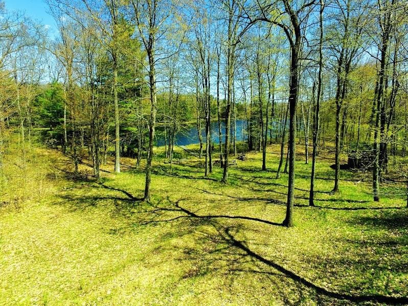 W14853 Hungry Lake Rd, Chetek, WI 54728 - photo 1