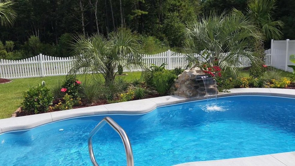 Bald Cypress Pool 1