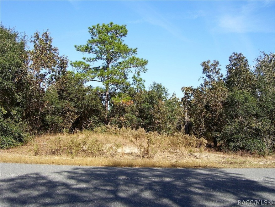 Wooded 1 acre tract.