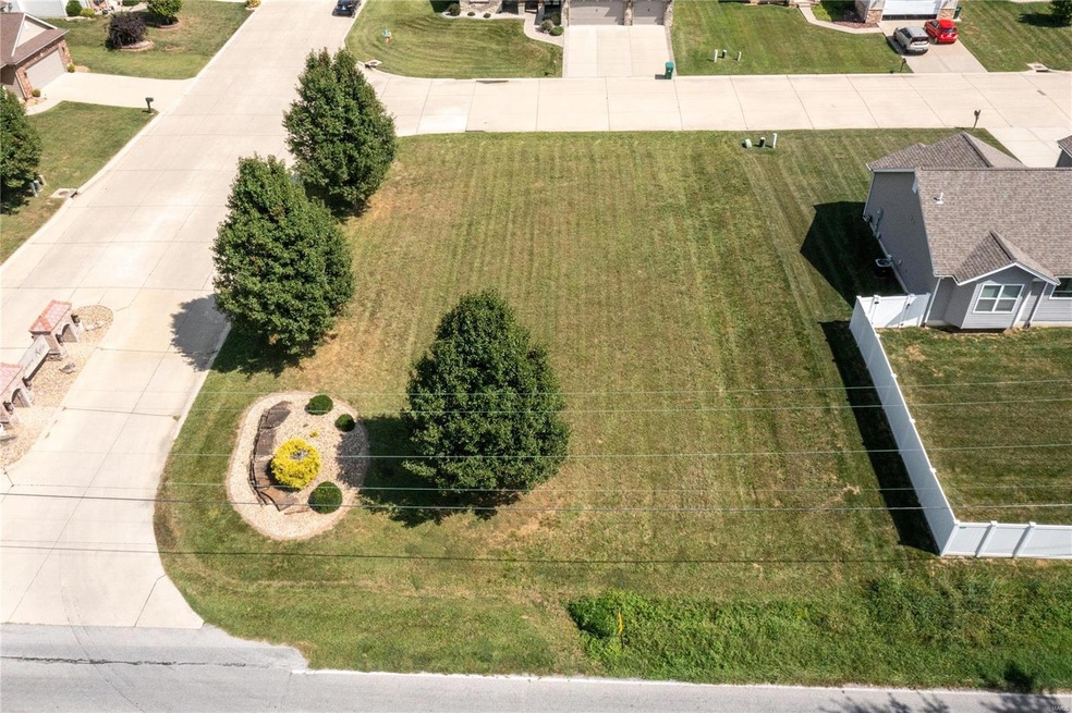 689 Vinci Dr, Caseyville, IL 62232 - photo 1