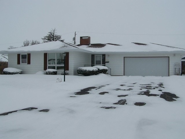 1009 Warren St, Chenoa, IL 61726 - photo 1