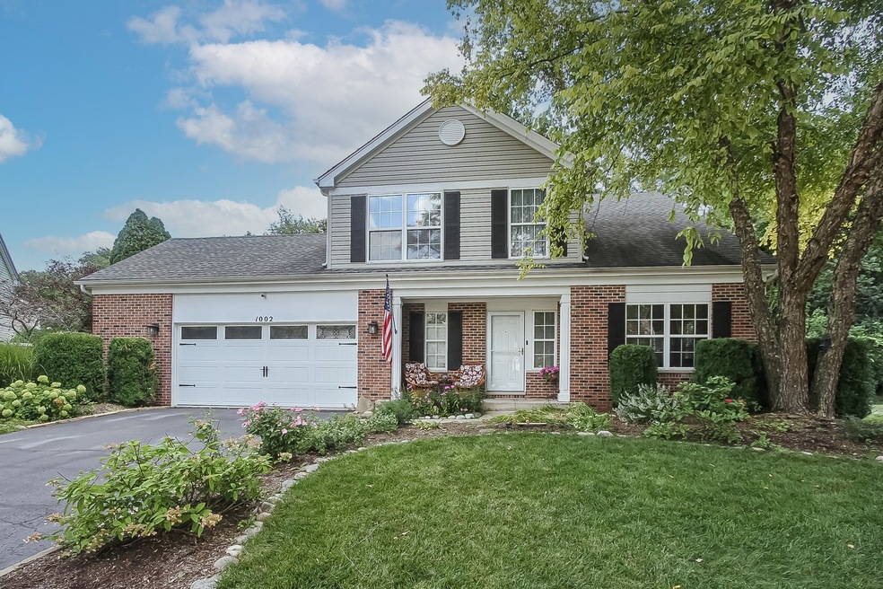 1002 York Cir unit 2, Carpentersville, IL 60110 - photo 1