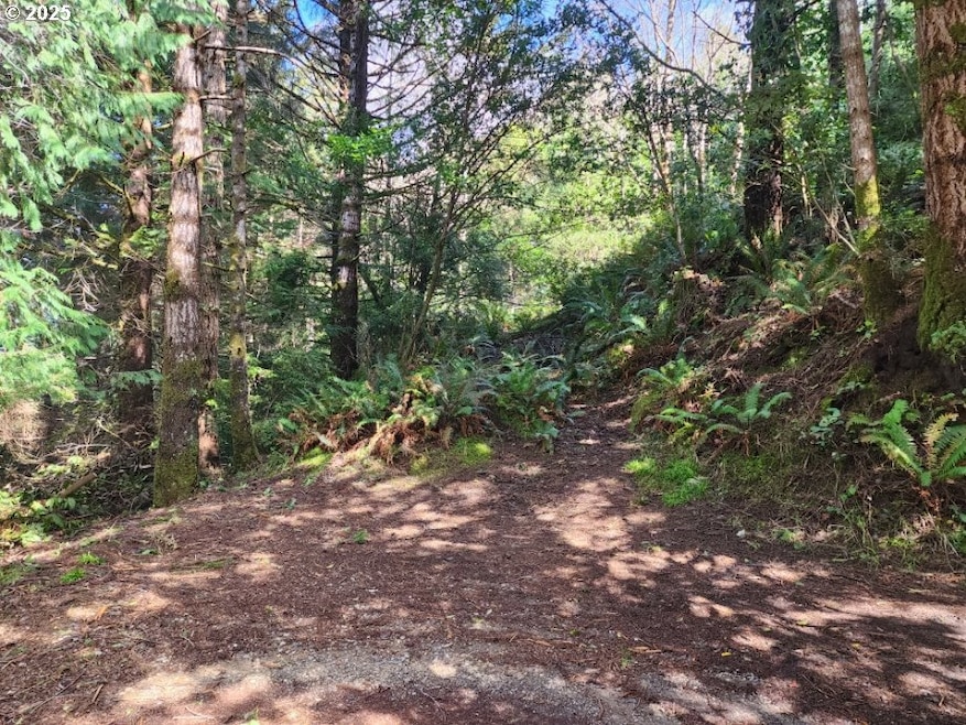 0 Jefferson St unit Lot 1&6 391642538, Port Orford, OR 97465 - photo 1