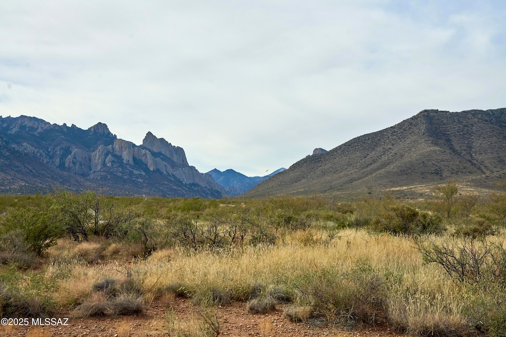 Tbd Foothills Rd unit C, Portal, AZ 85632 - photo 1