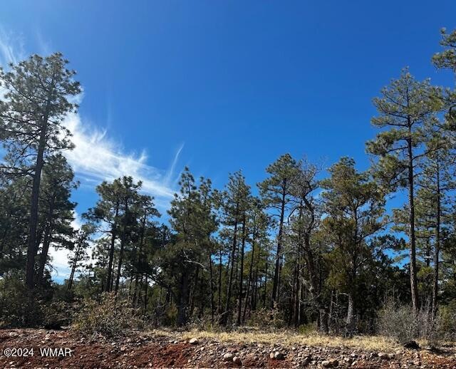 1191 W Snow Creek Trail, Show Low, AZ 85901 - photo 1