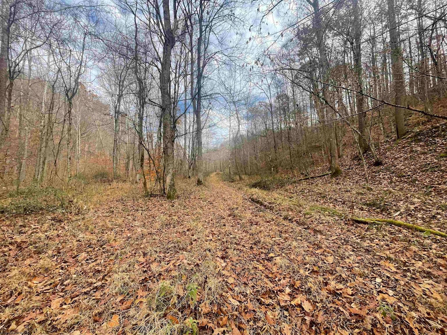 TBD Sand Fork Rd, Walkersville, WV 26447 - photo 1