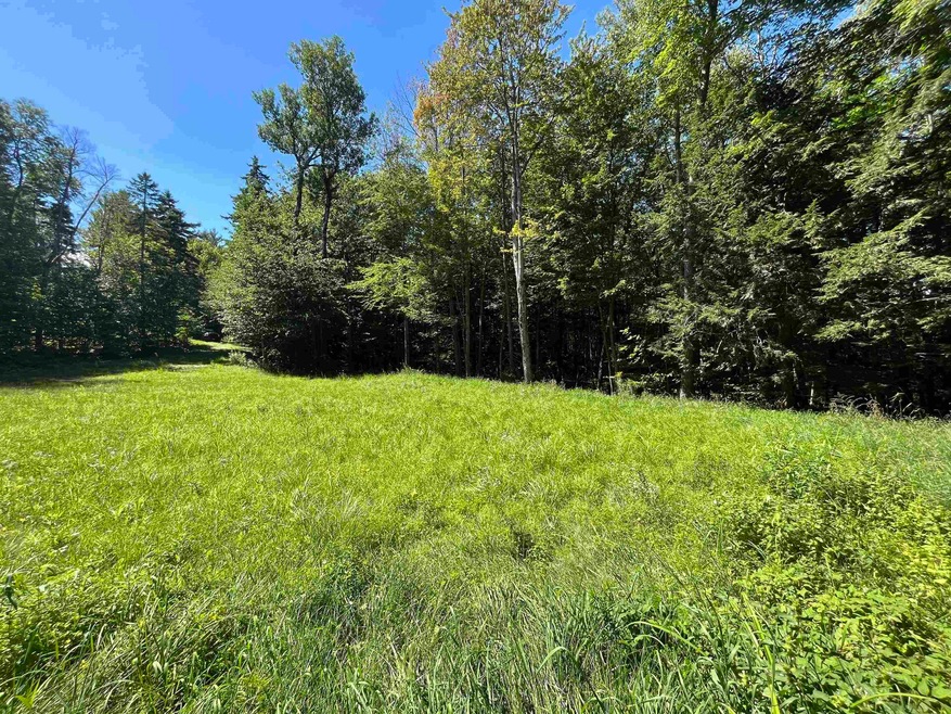 00 Berry Patch Ln, Ludlow, VT 05149 - photo 1