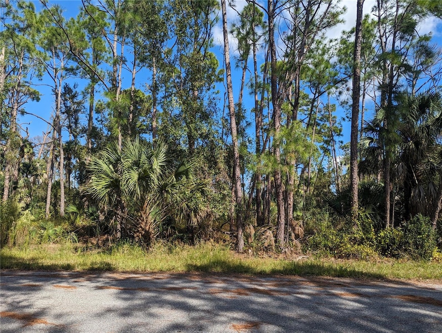0 Apricola Rd unit Lot 14 MFRT3486908, North Port, FL 34286 - photo 1