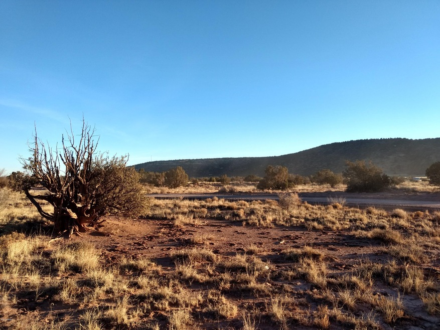 IMG_20171229_080830320_HDR