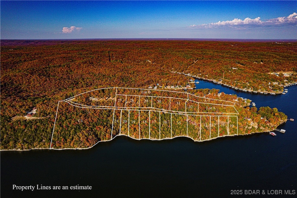 lot 17 Lake Horizons Rd, Gravois Mills, MO 65037 - photo 1