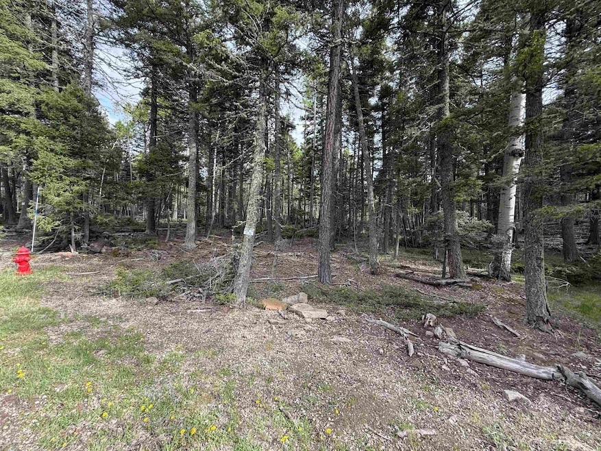 For Sale $25,750 • Co-Listing Agent
