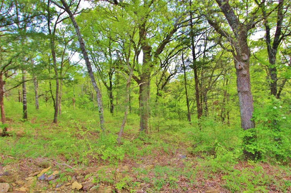Lot 1 Lakecrest Dr, Pottsboro, TX 75076 - photo 1
