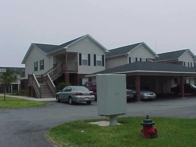 Main View