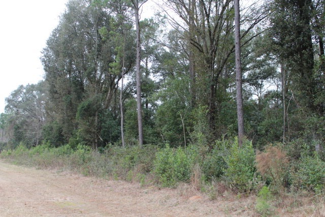 LOT 310 Saville Ln, Putney, GA 31705 - photo 1