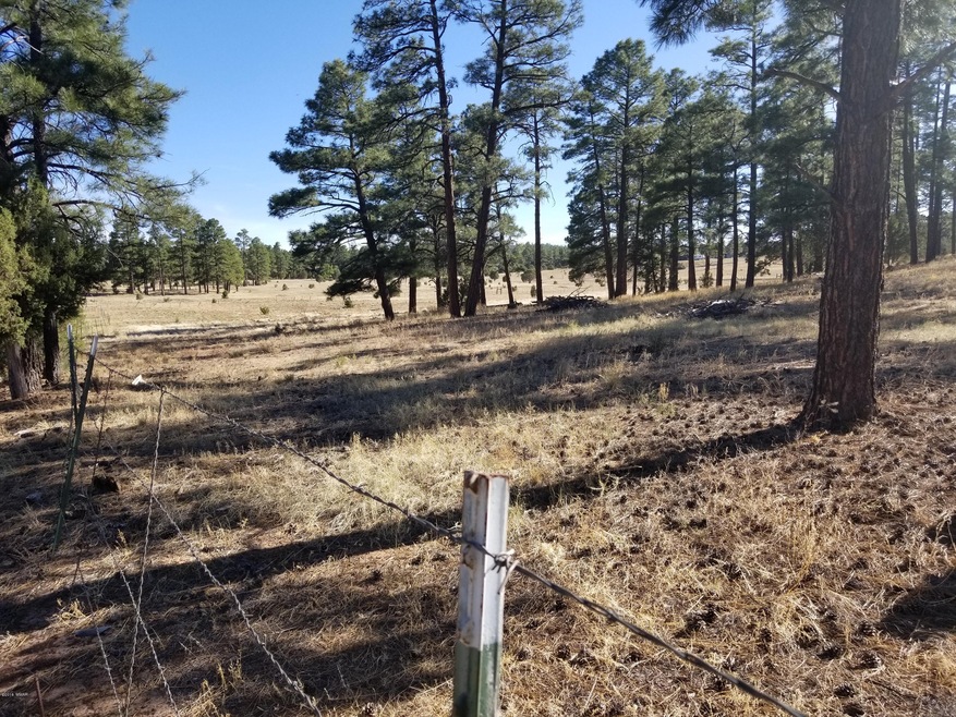 0 Whipple and Central unit 219962, Show Low, AZ 85901 - photo 1