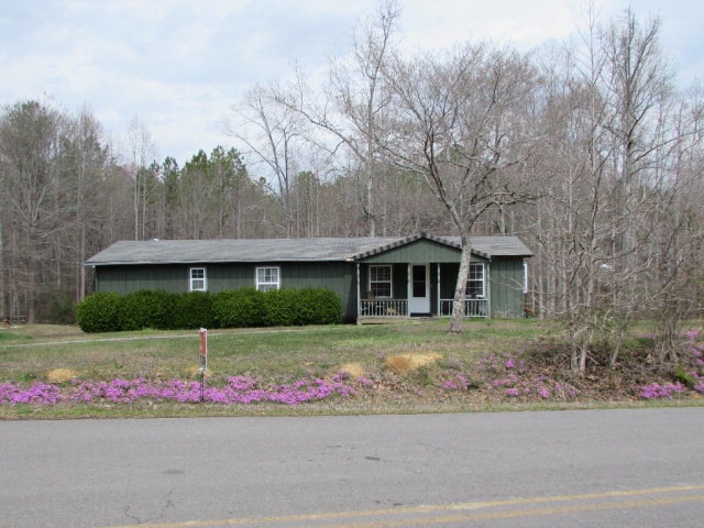 Main View