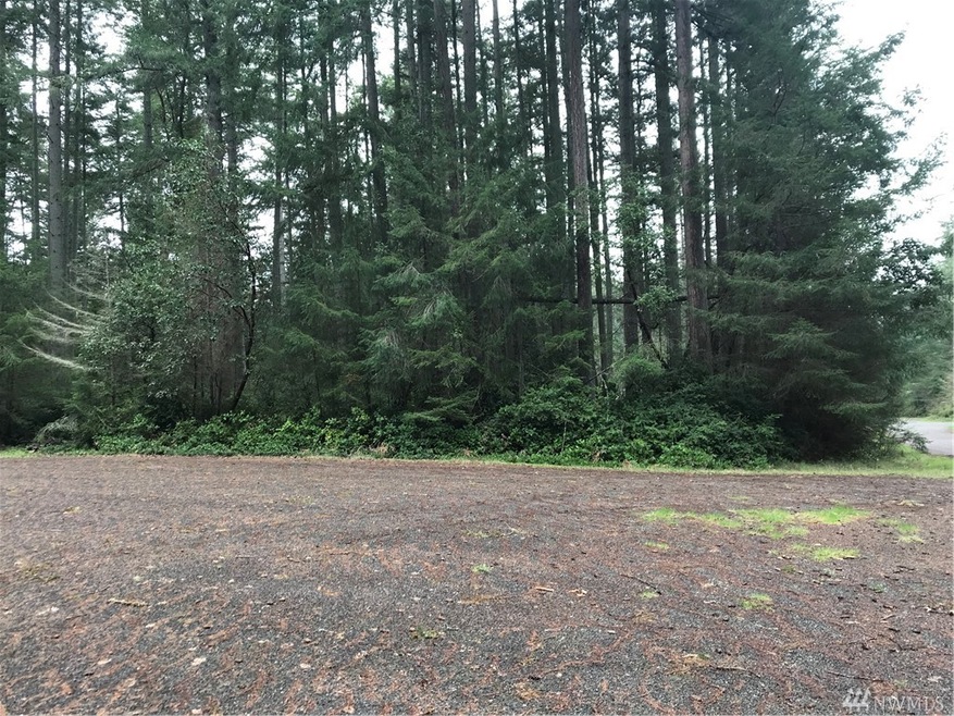 11311 Admiralty Way unit AI, Anderson Island, WA 98303 - photo 1