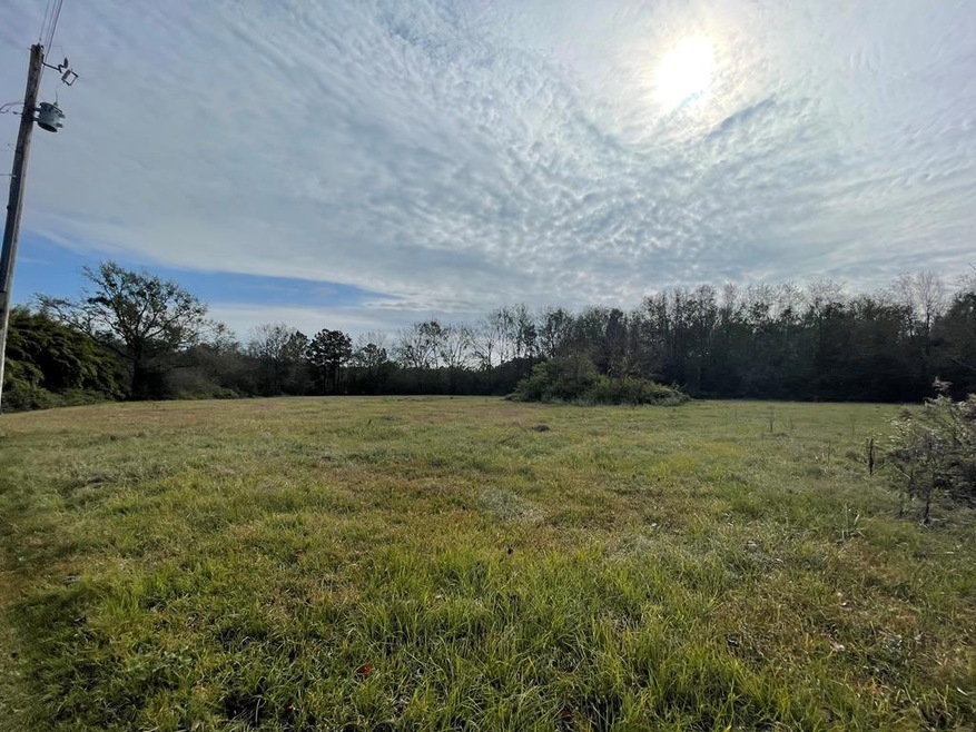 0 Mitchell Rd, Picayune, MS 39466 - photo 1