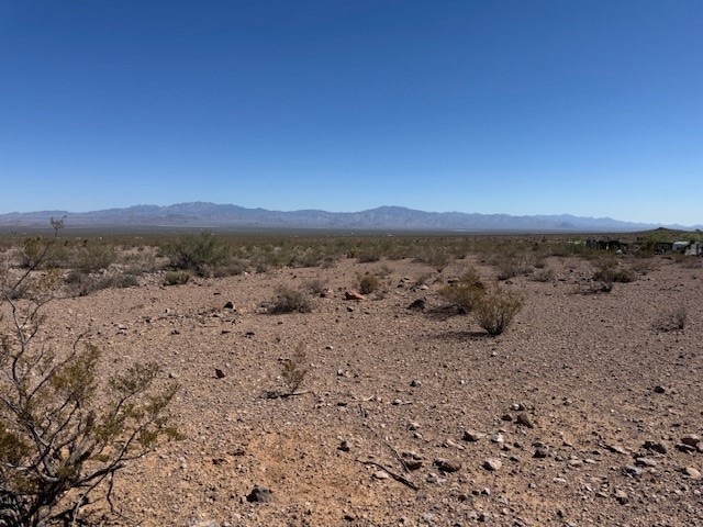 Sold $4,000 • Co-Listing Agent