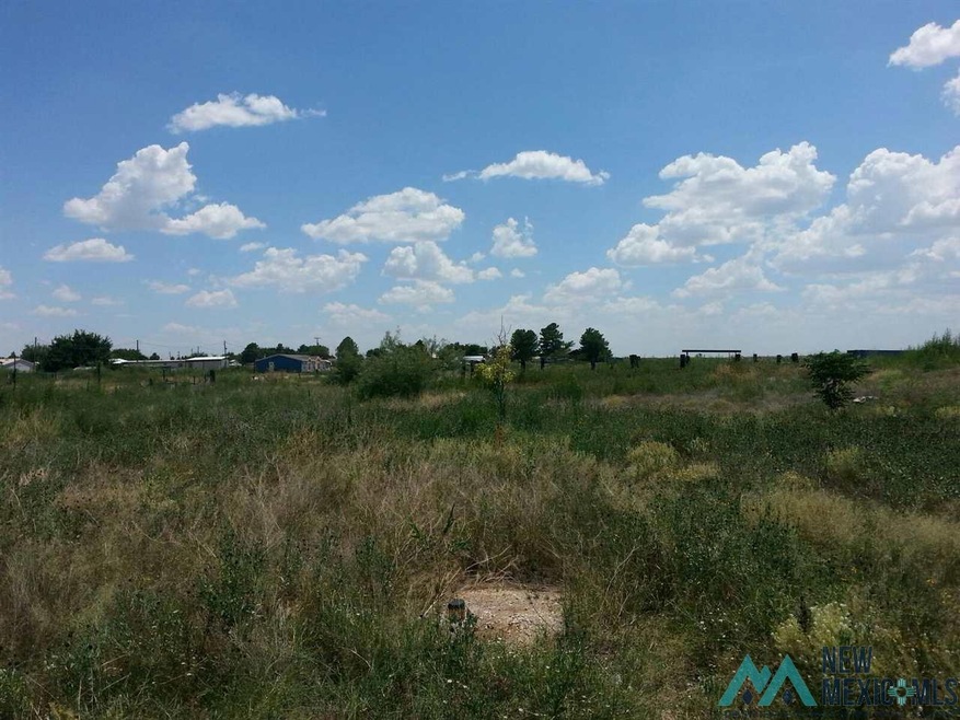 1513 Hidalgo Rd, Carlsbad, NM 88220 - photo 1