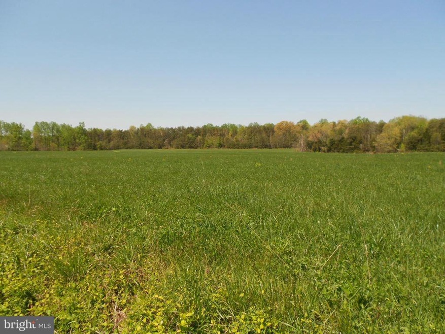 0 Bibb Store Rd unit 1000546711, Louisa, VA 23093 - photo 1