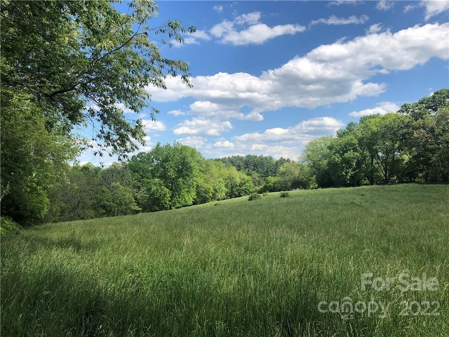 99999 Ridge Rd, Asheville, NC 28806 - photo 1