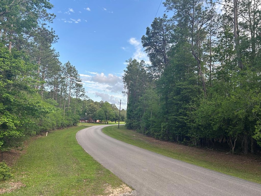 Lot 8 & 9 E Wildwood Dr, Wildwood, TX 77664 - photo 1