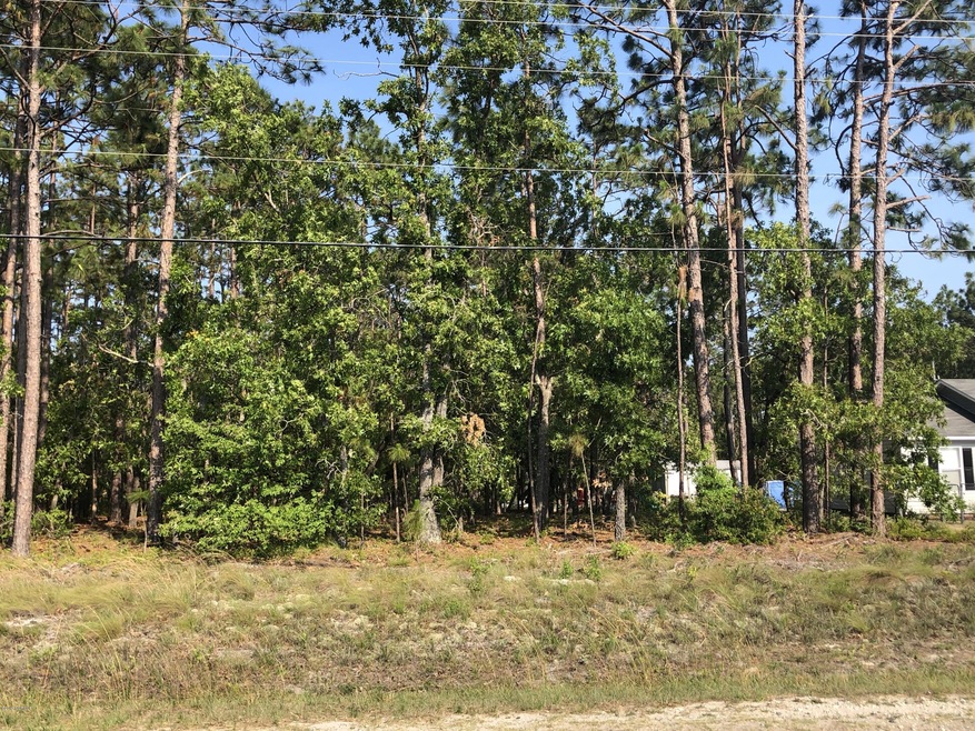 Front lot view