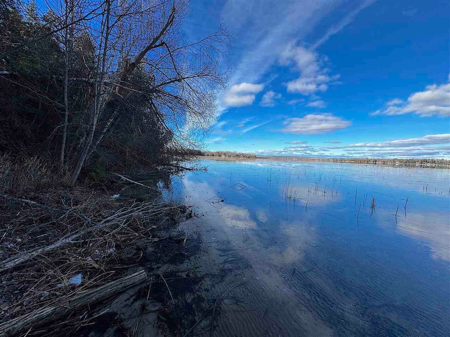 Vacant Township Park Rd, Springvale Township, MI 49770 - photo 1