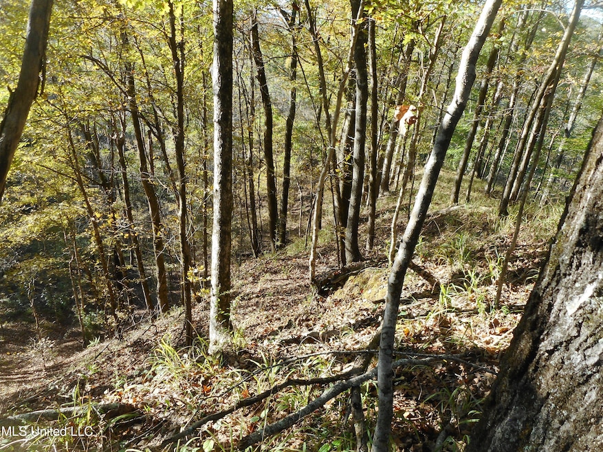 Timber