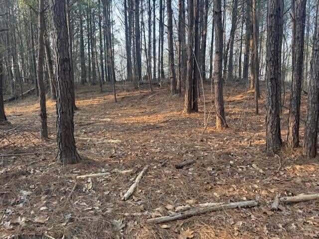 0 Stella Lockard Rd, Cordova, AL 35550 - photo 1