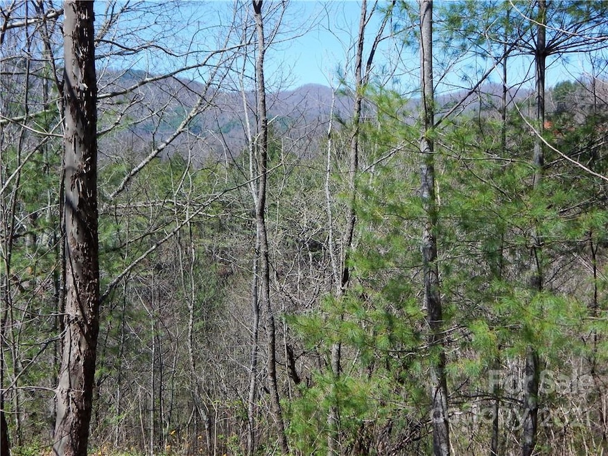 00 Blueberry Dr unit A, Cane River, NC 28714 - photo 1