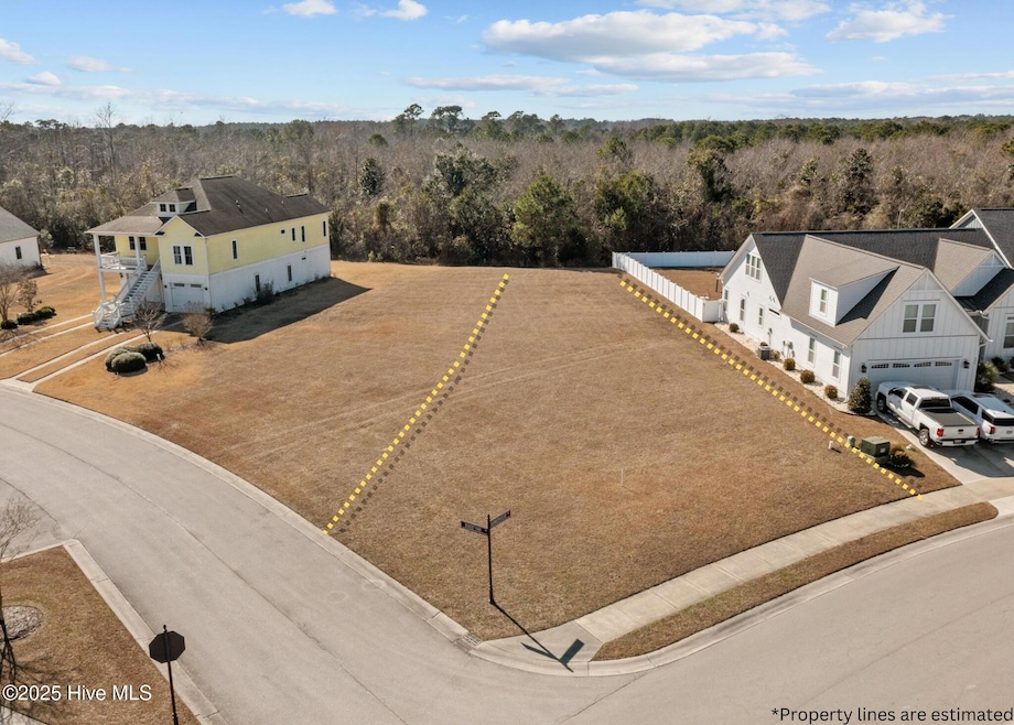 Lot 491