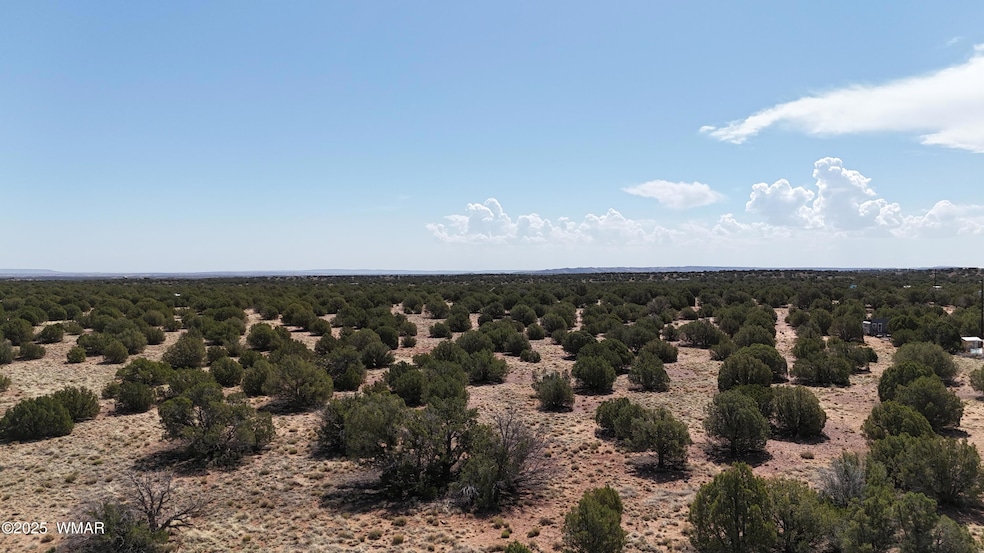 DJI_20250503094421_0024_D