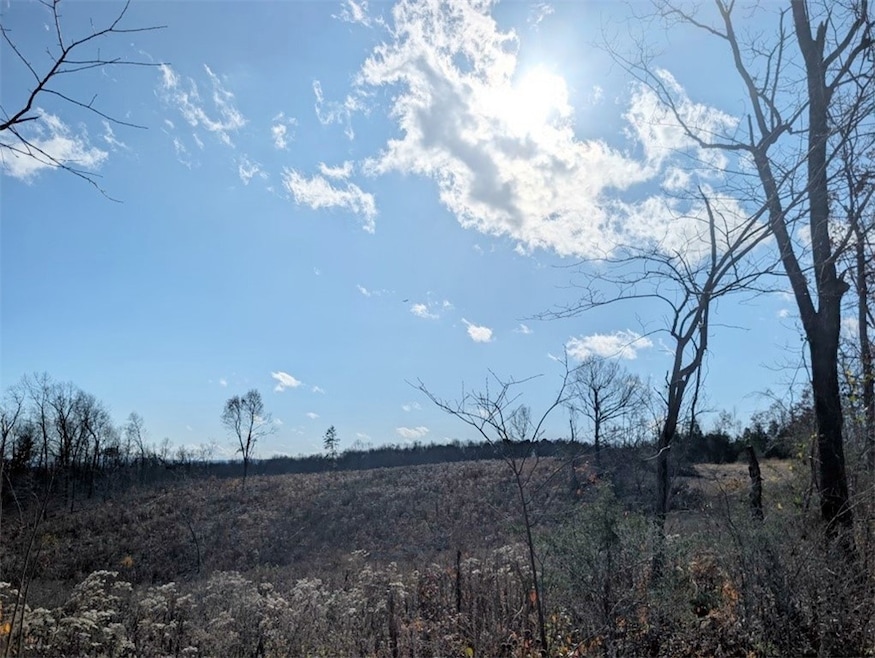 0 Nc 2900 unit 1329337, Marble Falls, AR 72648 - photo 1