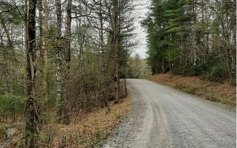 LT 10 Peter Knob Rd, Blue Ridge, GA 30513 - photo 1