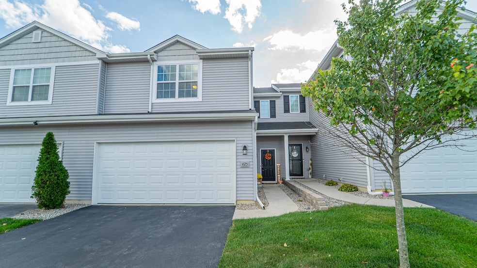 425 E Briarwood Ln, Lowell, IN 46356 - photo 1