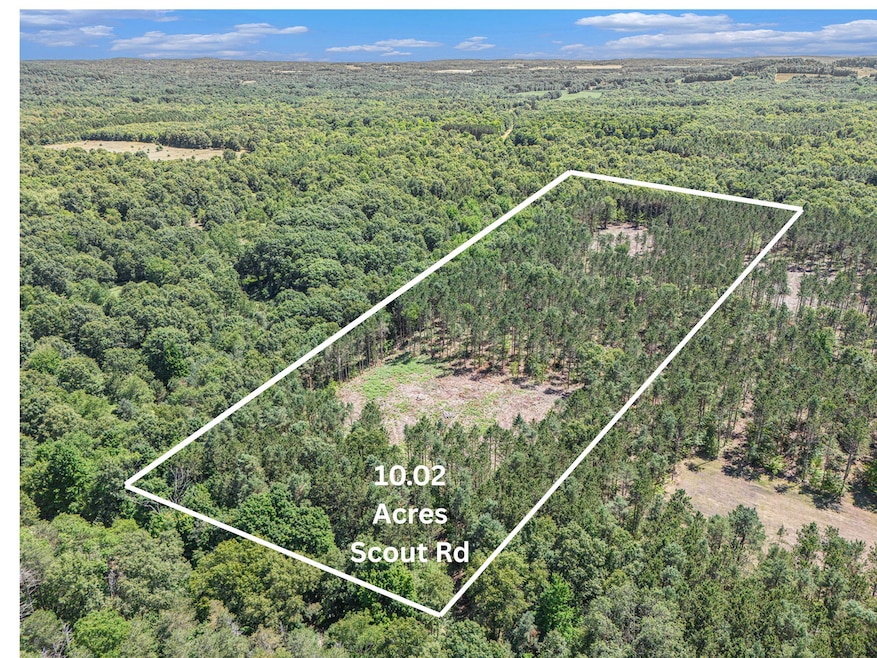 10.02 W Scout Rd, Golden Township, MI 49436 - photo 1