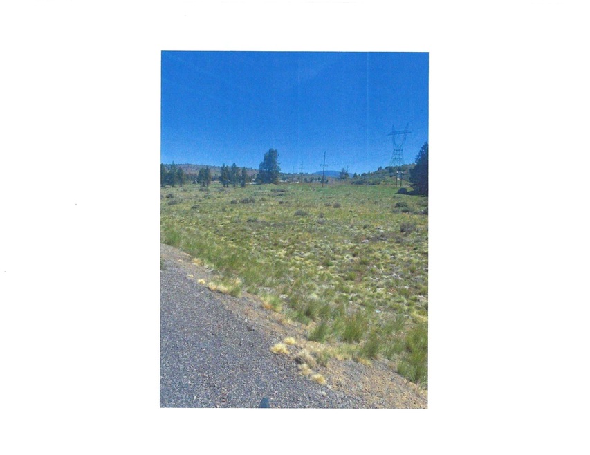 Orindale Photo