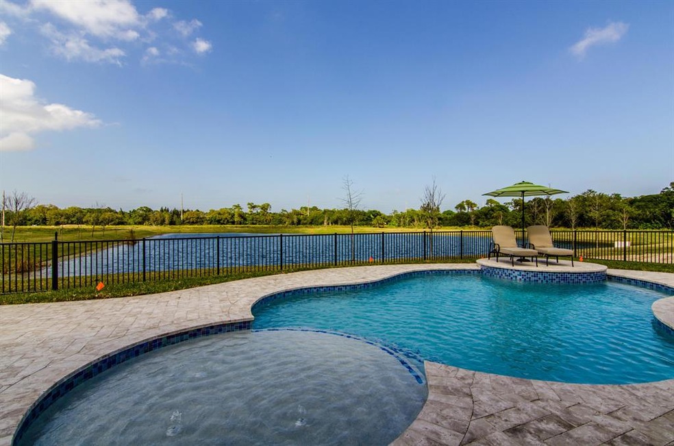 Pool Area Oasis