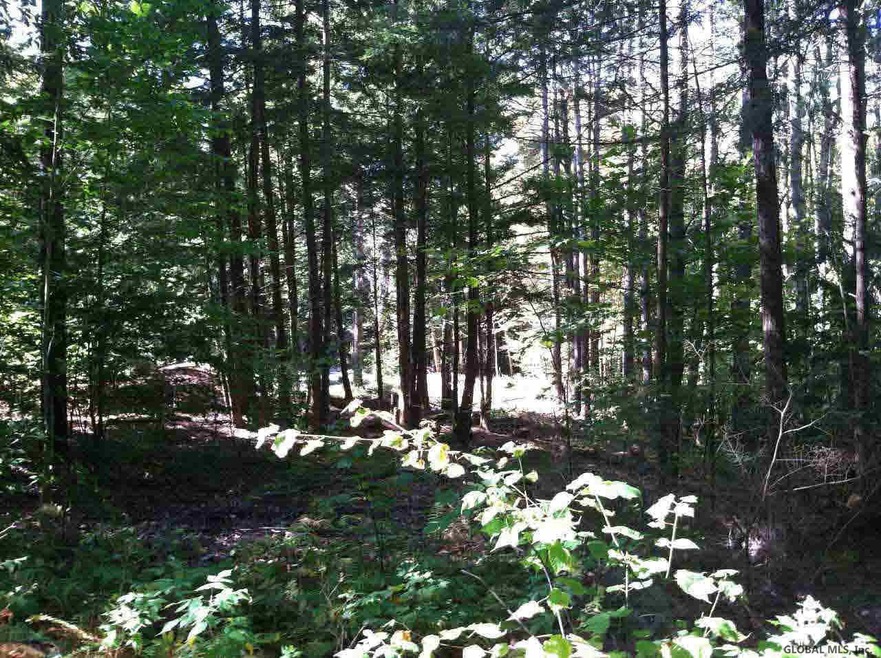 196 Gailey Hill Rd, Lake Luzerne, NY 12846 - photo 1