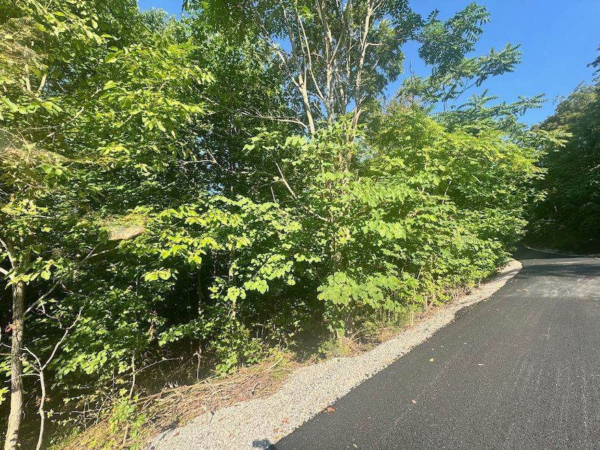 617 N Pointe Trail, Allons, TN 38541 - photo 1