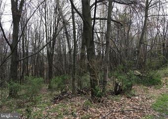 0 Oak Ln unit PASK130262, Tamaqua, PA 18252 - photo 1